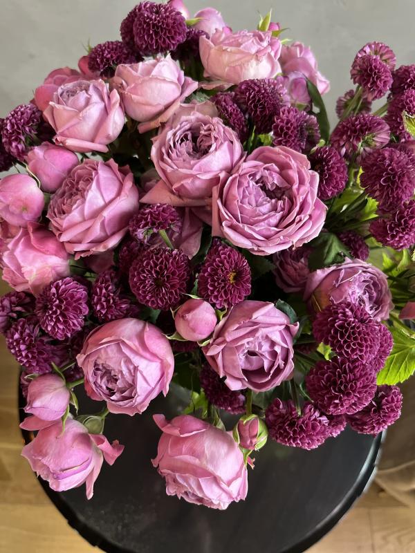 Лазер DEKA  MOTUS CO2